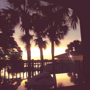 Meet your Posher, Raylinez